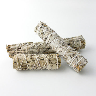 White Sage Smudge Stick - 4"